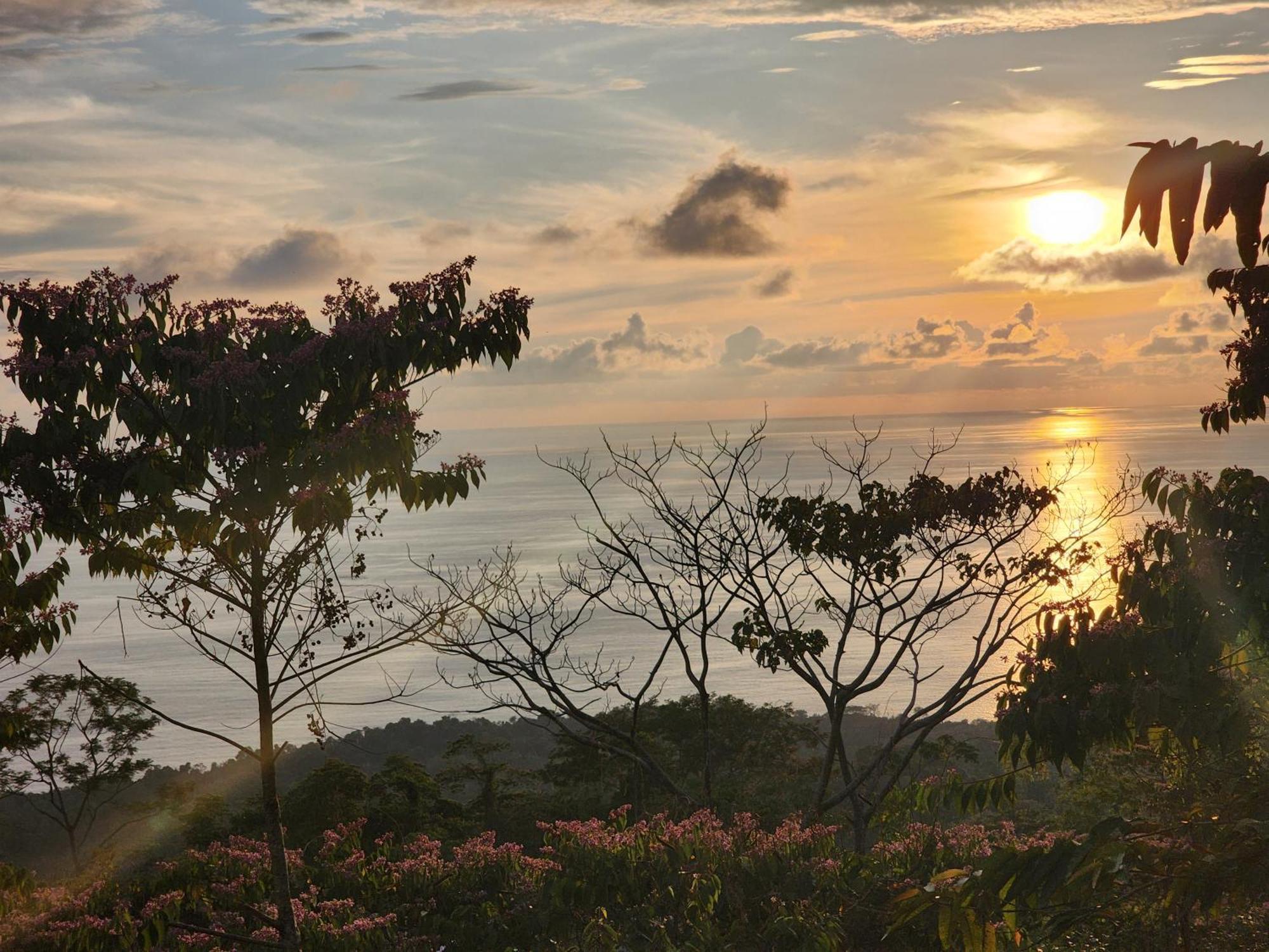 Canavida Villas & Resort Uvita Kültér fotó
